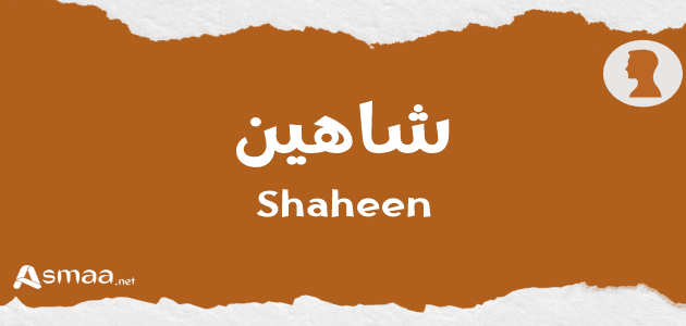 شاهين