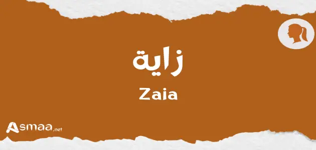 زاية