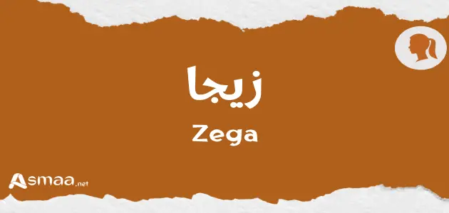زيجا