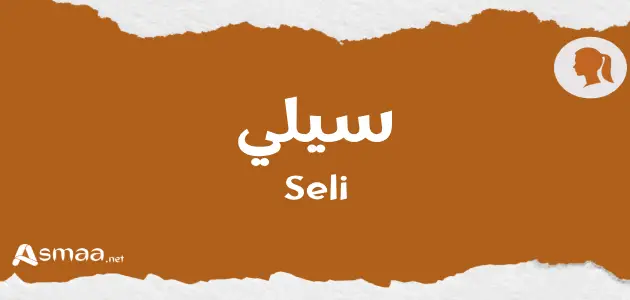 سيلي