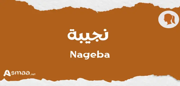 نجيبة